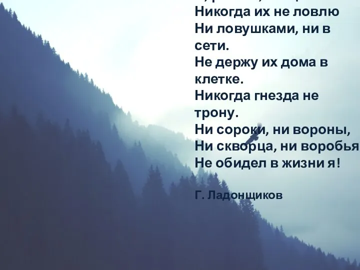 Я, ребята, птиц люблю. Никогда их не ловлю Ни ловушками, ни