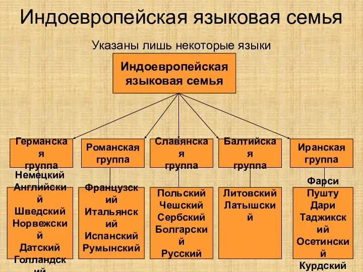 Индоевропейская языковая семья Указаны лишь некоторые языки Индоевропейская языковая семья Германская