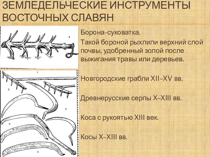 ЗЕМЛЕДЕЛЬЧЕСКИЕ ИНСТРУМЕНТЫ ВОСТОЧНЫХ СЛАВЯН Борона-суковатка. Такой бороной рыхлили верхний слой почвы,