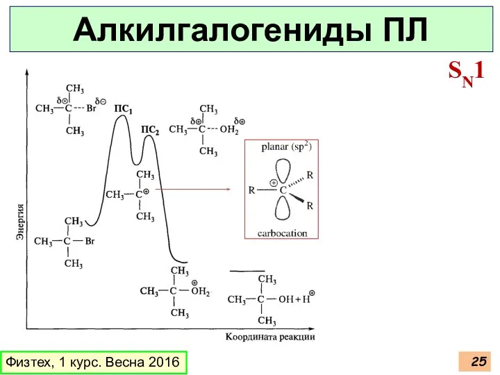 Физтех, 1 курс. Весна 2016 Алкилгалогениды ПЛ SN1