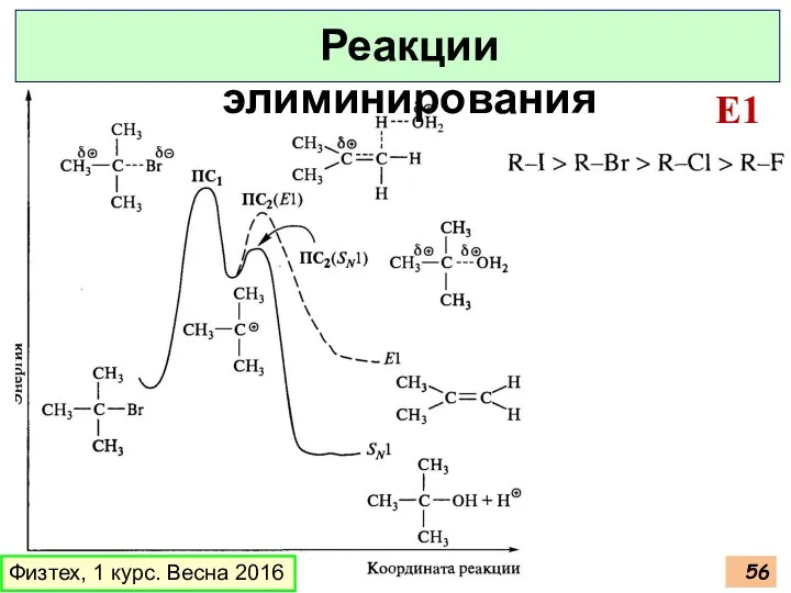 Физтех, 1 курс. Весна 2016 Реакции элиминирования E1