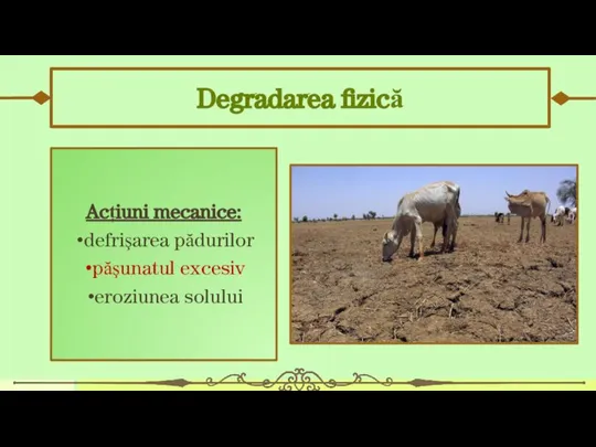 Degradarea fizică Acțiuni mecanice: defrişarea pădurilor păşunatul excesiv eroziunea solului