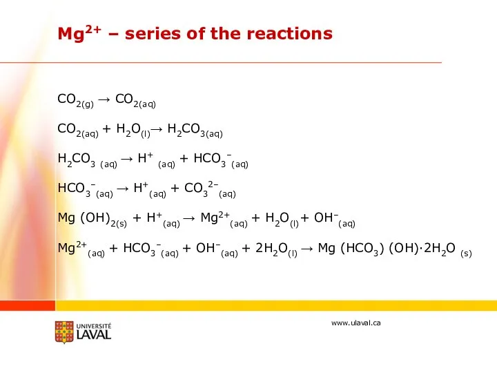 CO2(g) → CO2(aq) CO2(aq) + H2O(l)→ H2CO3(aq) H2CO3 (aq) → H+