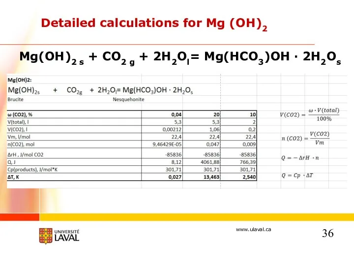 Detailed calculations for Mg (OH)2 Mg(OH)2 s + CO2 g + 2H2Ol= Mg(HCO3)OH · 2H2Os