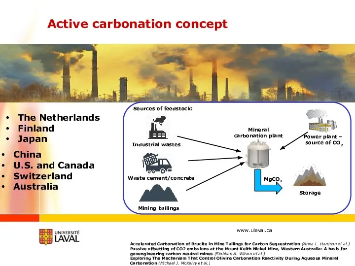 Accelerated Carbonation of Brucite in Mine Tailings for Carbon Sequestration (Anna