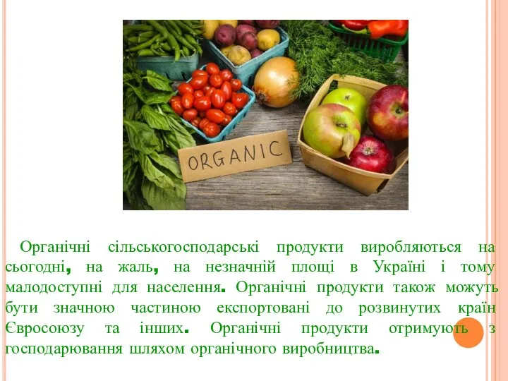 Органічні сільськогосподарські продукти виробляються на сьогодні, на жаль, на незначній площі