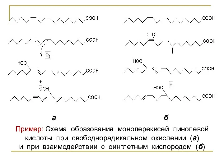 а б Пример: Схема образования моноперекисей линолевой кислоты при свободнорадикальном окислении