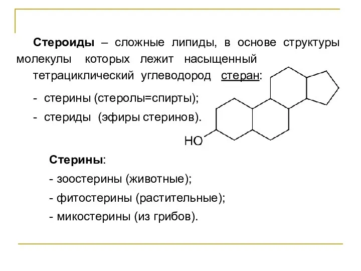 Стероиды – сложные липиды, в основе структуры молекулы которых лежит насыщенный