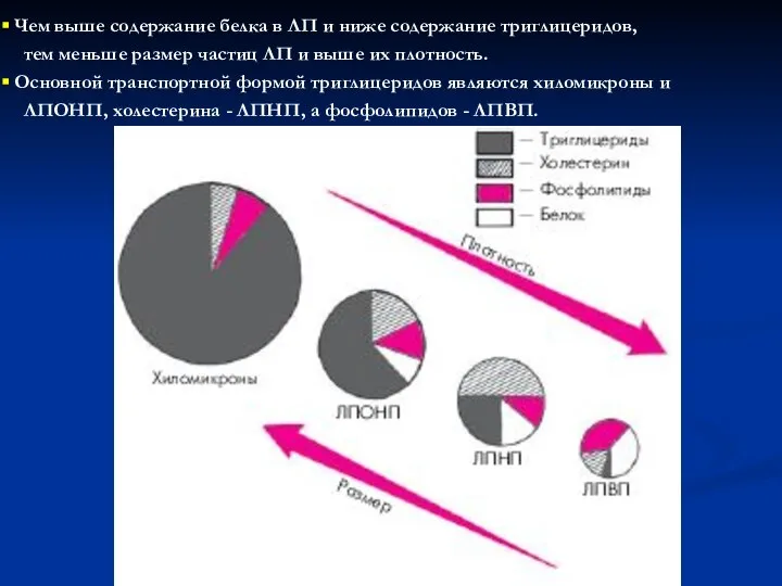 Чем выше содержание белка в ЛП и ниже содержание триглицеридов, тем