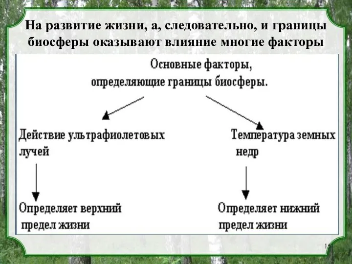 На развитие жизни, а, следовательно, и границы биосферы оказывают влияние многие факторы