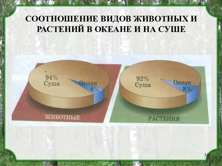 СООТНОШЕНИЕ ВИДОВ ЖИВОТНЫХ И РАСТЕНИЙ В ОКЕАНЕ И НА СУШЕ