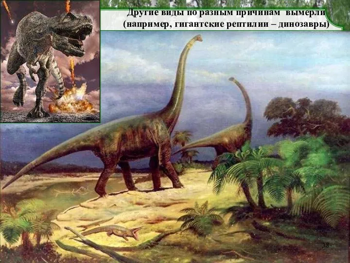 Другие виды по разным причинам вымерли (например, гигантские рептилии – динозавры)