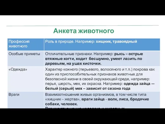 ЭТАПЫ ПРОЕКТА Анкета животного