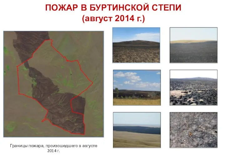 ПОЖАР В БУРТИНСКОЙ СТЕПИ (август 2014 г.) Границы пожара, произошедшего в августе 2014 г.