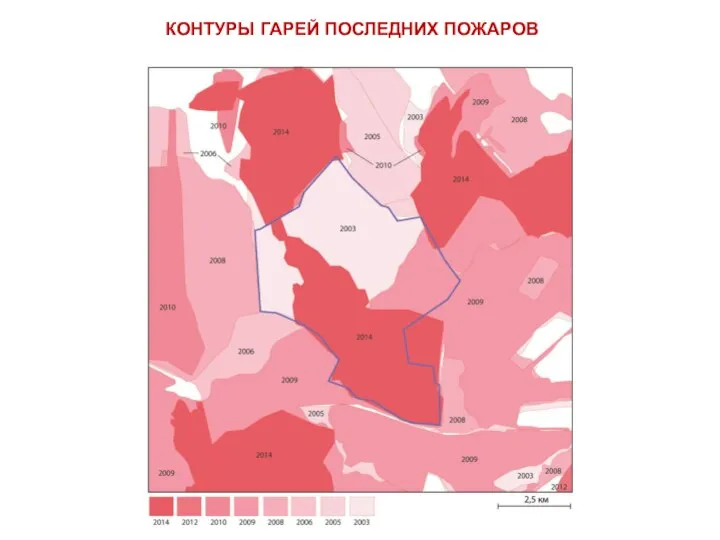 КОНТУРЫ ГАРЕЙ ПОСЛЕДНИХ ПОЖАРОВ