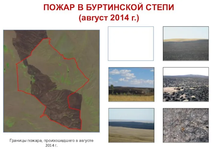 ПОЖАР В БУРТИНСКОЙ СТЕПИ (август 2014 г.) Границы пожара, произошедшего в августе 2014 г.