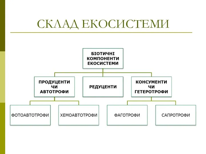 СКЛАД ЕКОСИСТЕМИ