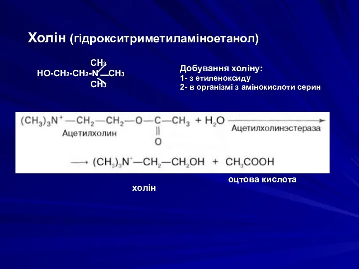 Холін (гідрокситриметиламіноетанол) Добування холіну: 1- з етиленоксиду 2- в організмі з