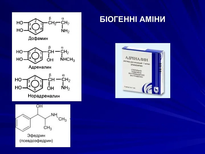 БІОГЕННІ АМІНИ