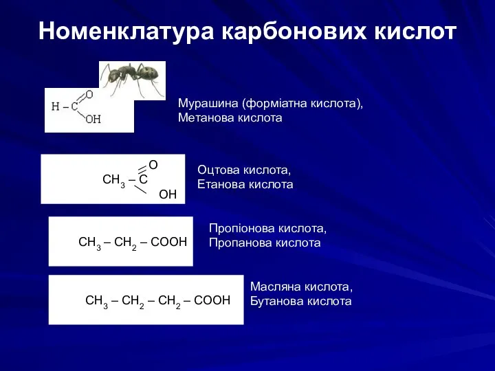 Номенклатура карбонових кислот Мурашина (форміатна кислота), Метанова кислота O CH3 –