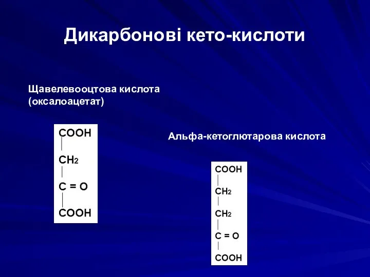 Дикарбонові кето-кислоти Щавелевооцтова кислота (оксалоацетат) Альфа-кетоглютарова кислота