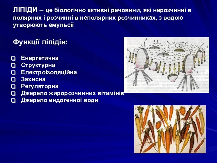 ЛІПІДИ – це біологічно активні речовини, які нерозчинні в полярних і