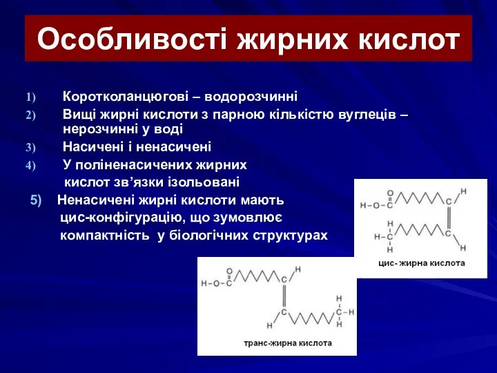 Особливості жирних кислот Коротколанцюгові – водорозчинні Вищі жирні кислоти з парною