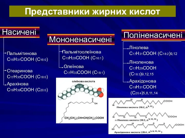 Представники жирних кислот Насичені Мононенасичені Поліненасичені Пальмітинова С15Н31СООН (С16:0) Арахінова С19Н39СООН