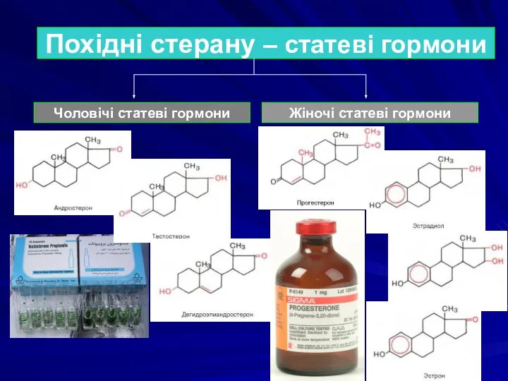 Чоловічі статеві гормони Похідні стерану – статеві гормони Жіночі статеві гормони