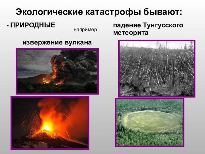 Экологические катастрофы бывают: ПРИРОДНЫЕ извержение вулкана падение Тунгусского метеорита например