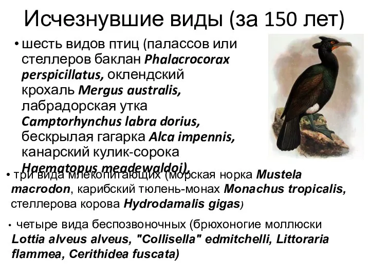 Исчезнувшие виды (за 150 лет) шесть видов птиц (палассов или стеллеров