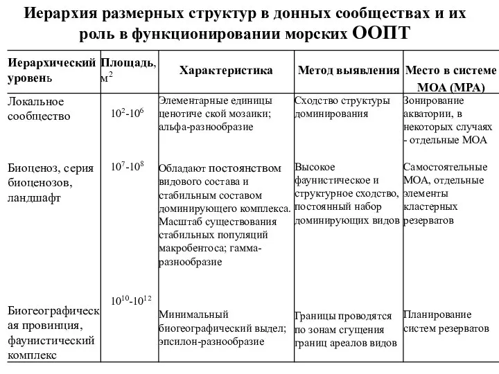 Иерархия размерных структур в донных сообществах и их роль в функционировании морских ООПТ