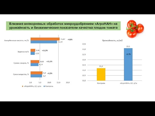 Влияние внекорневых обработок микроудобрением «АгроНАН» на урожайность и биохимические показатели качества