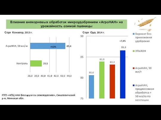 Влияние внекорневых обработок микроудобрением «АгроНАН» на урожайность озимой пшеницы PУП «HПЦ