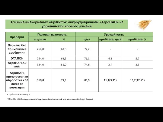 Влияние внекорневых обработок микроудобрением «АгроНАН» на урожайность ярового ячменя прибавка к