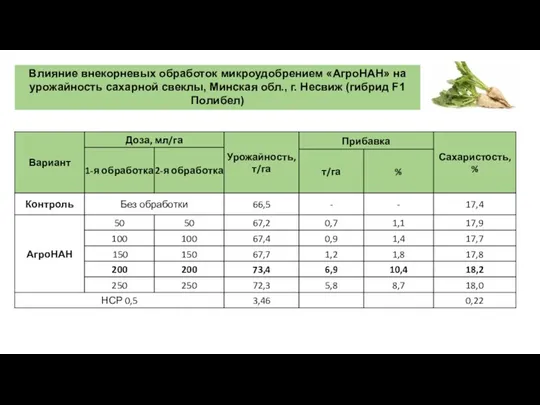 Влияние внекорневых обработок микроудобрением «АгроНАН» на урожайность сахарной свеклы, Mинскaя oбл., г. Несвиж (гибpид F1 Пoлибел)