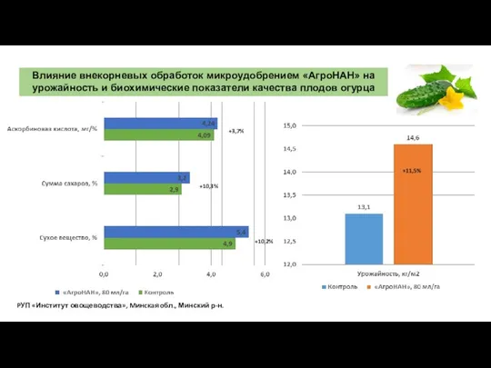 Влияние внекорневых обработок микроудобрением «АгроНАН» на урожайность и биохимические показатели качества
