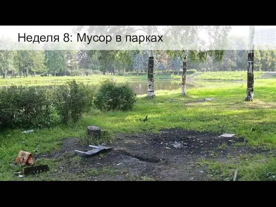 Неделя 8: Мусор в парках