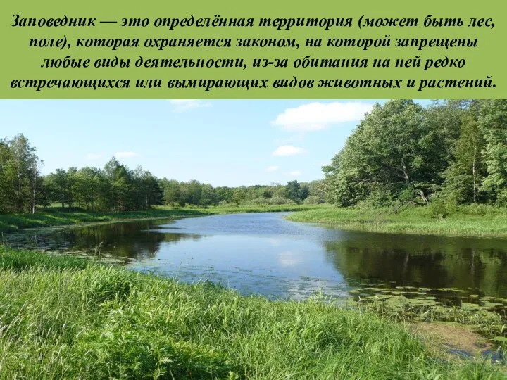 Заповедник — это определённая территория (может быть лес, поле), которая охраняется