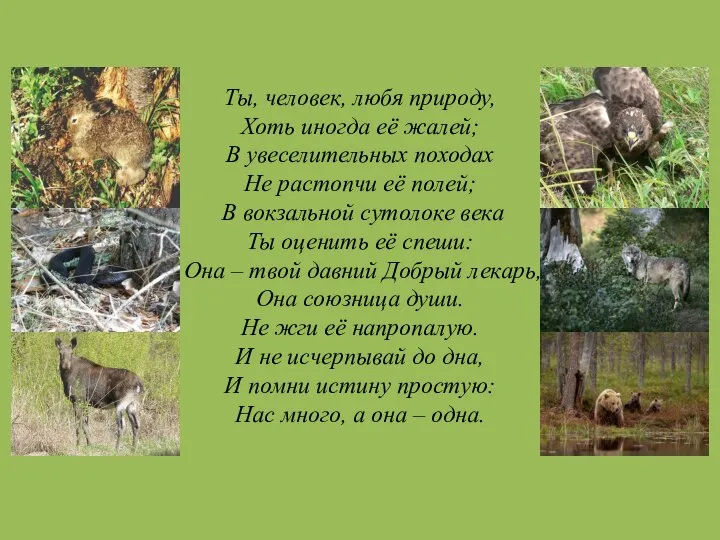 Ты, человек, любя природу, Хоть иногда её жалей; В увеселительных походах