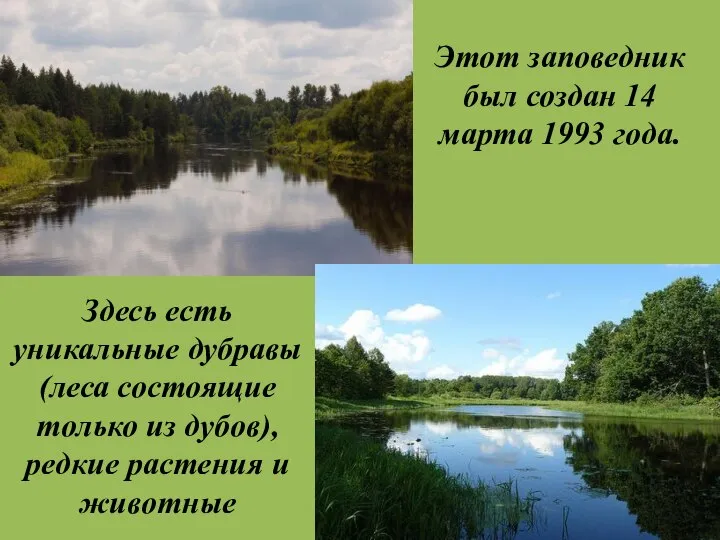 Здесь есть уникальные дубравы (леса состоящие только из дубов), редкие растения