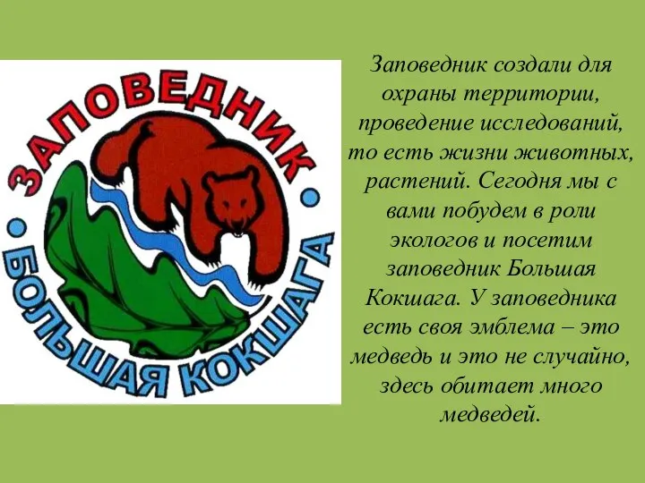 Заповедник создали для охраны территории, проведение исследований, то есть жизни животных,