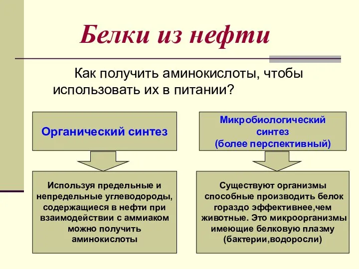 Белки из нефти Как получить аминокислоты, чтобы использовать их в питании?