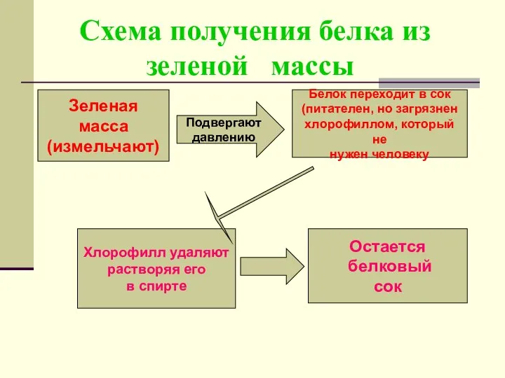 Схема получения белка из зеленой массы Зеленая масса (измельчают) Белок переходит