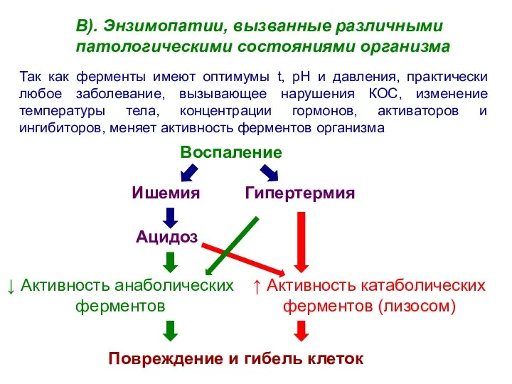 В). Энзимопатии, вызванные различными патологическими состояниями организма Так как ферменты имеют