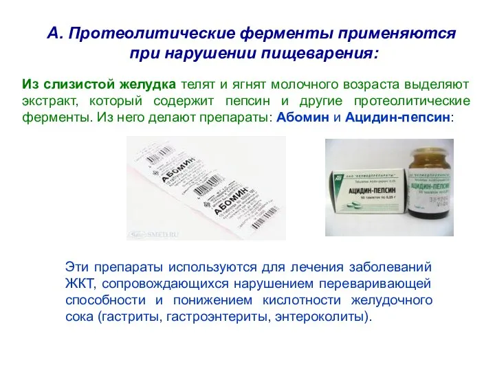 А. Протеолитические ферменты применяются при нарушении пищеварения: Из слизистой желудка телят