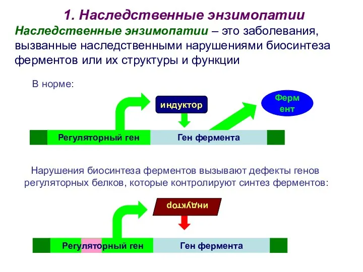 Ген фермента 1. Наследственные энзимопатии Наследственные энзимопатии – это заболевания, вызванные