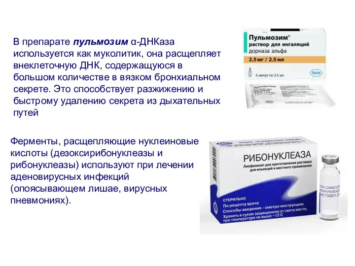 В препарате пульмозим α-ДНКаза используется как муколитик, она расщепляет внеклеточную ДНК,