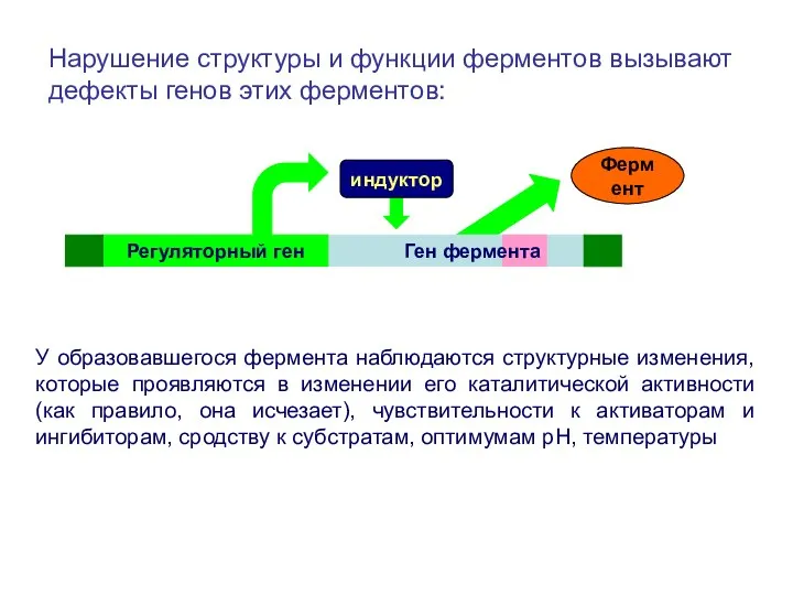 У образовавшегося фермента наблюдаются структурные изменения, которые проявляются в изменении его