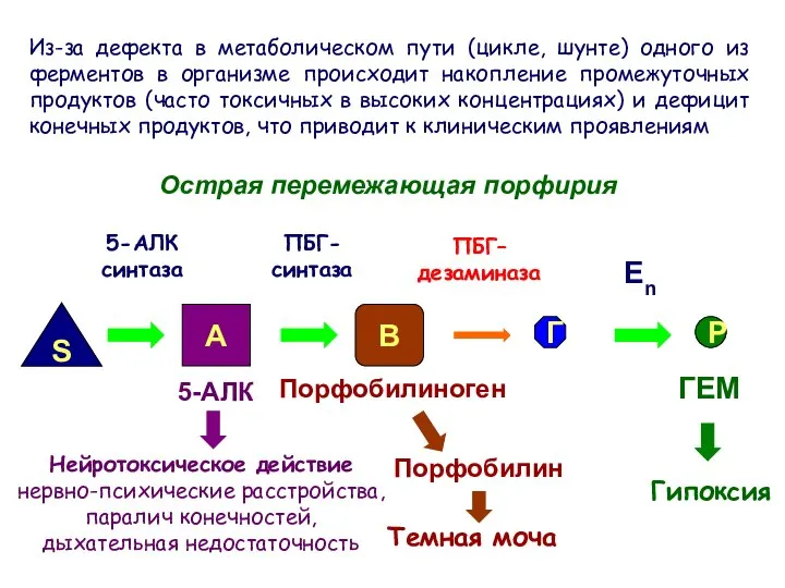 Из-за дефекта в метаболическом пути (цикле, шунте) одного из ферментов в